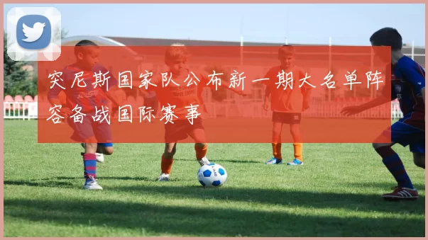 突尼斯国家队公布新一期大名单阵容备战国际赛事