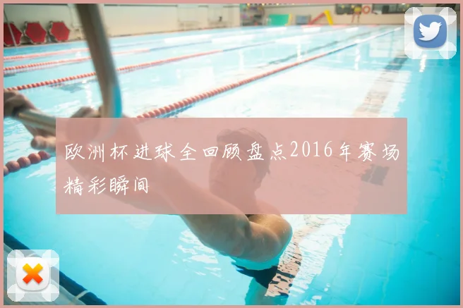 欧洲杯进球全回顾盘点2016年赛场精彩瞬间