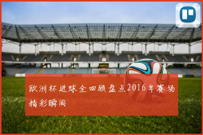 欧洲杯进球全回顾盘点2016年赛场精彩瞬间