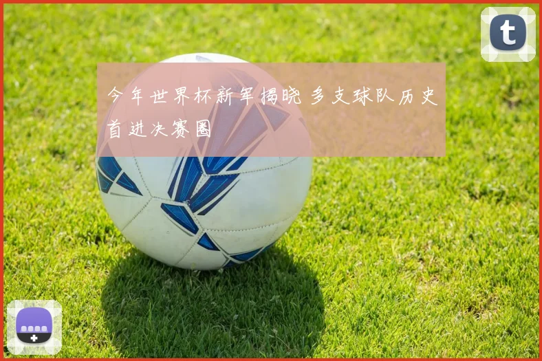 今年世界杯新军揭晓 多支球队历史首进决赛圈