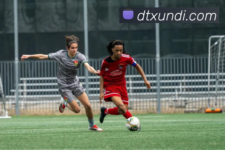 2018世界杯官网发展历程